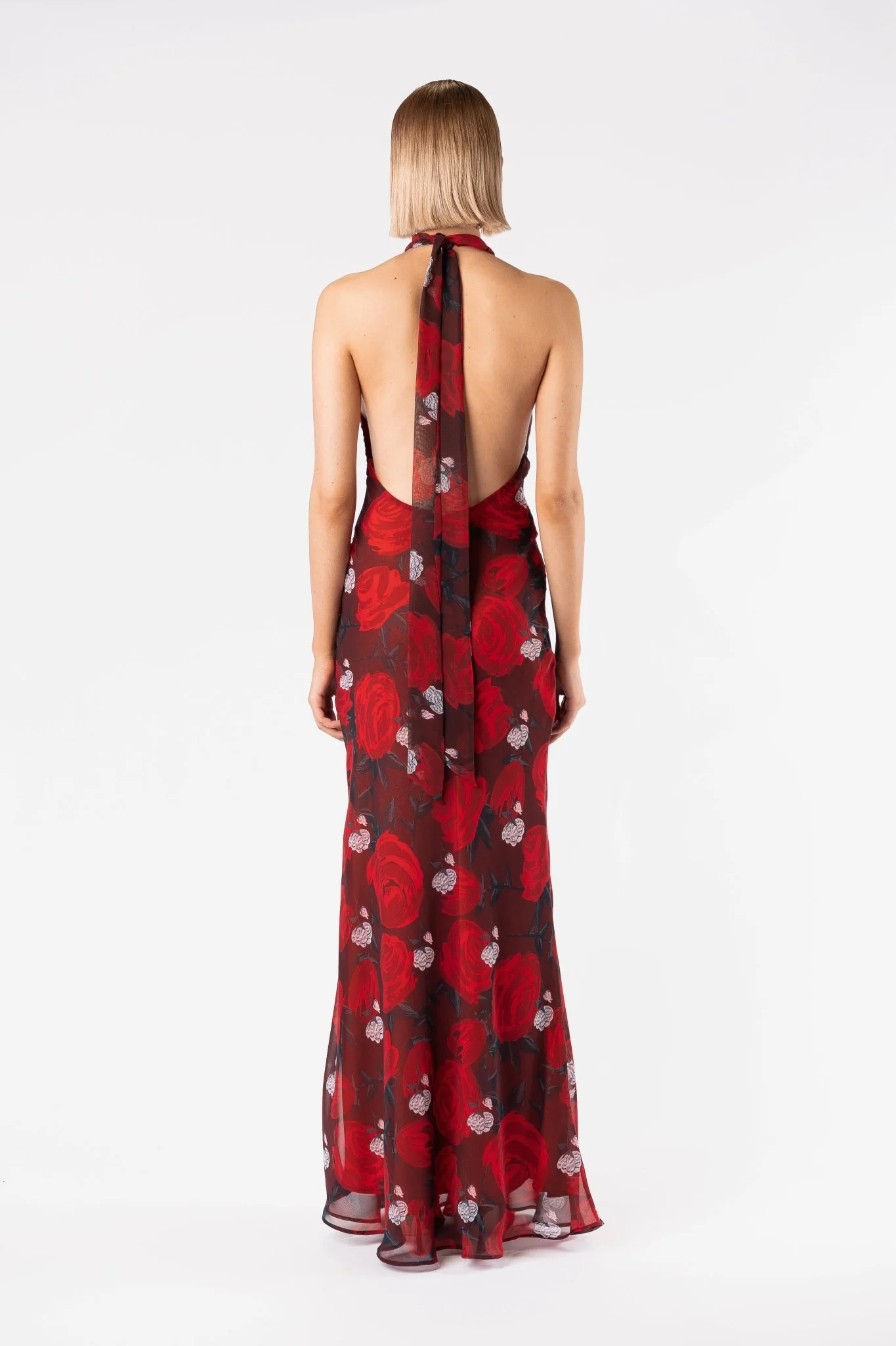 CONSTELLATION DRESS - BRIAR ROSE - Image 10