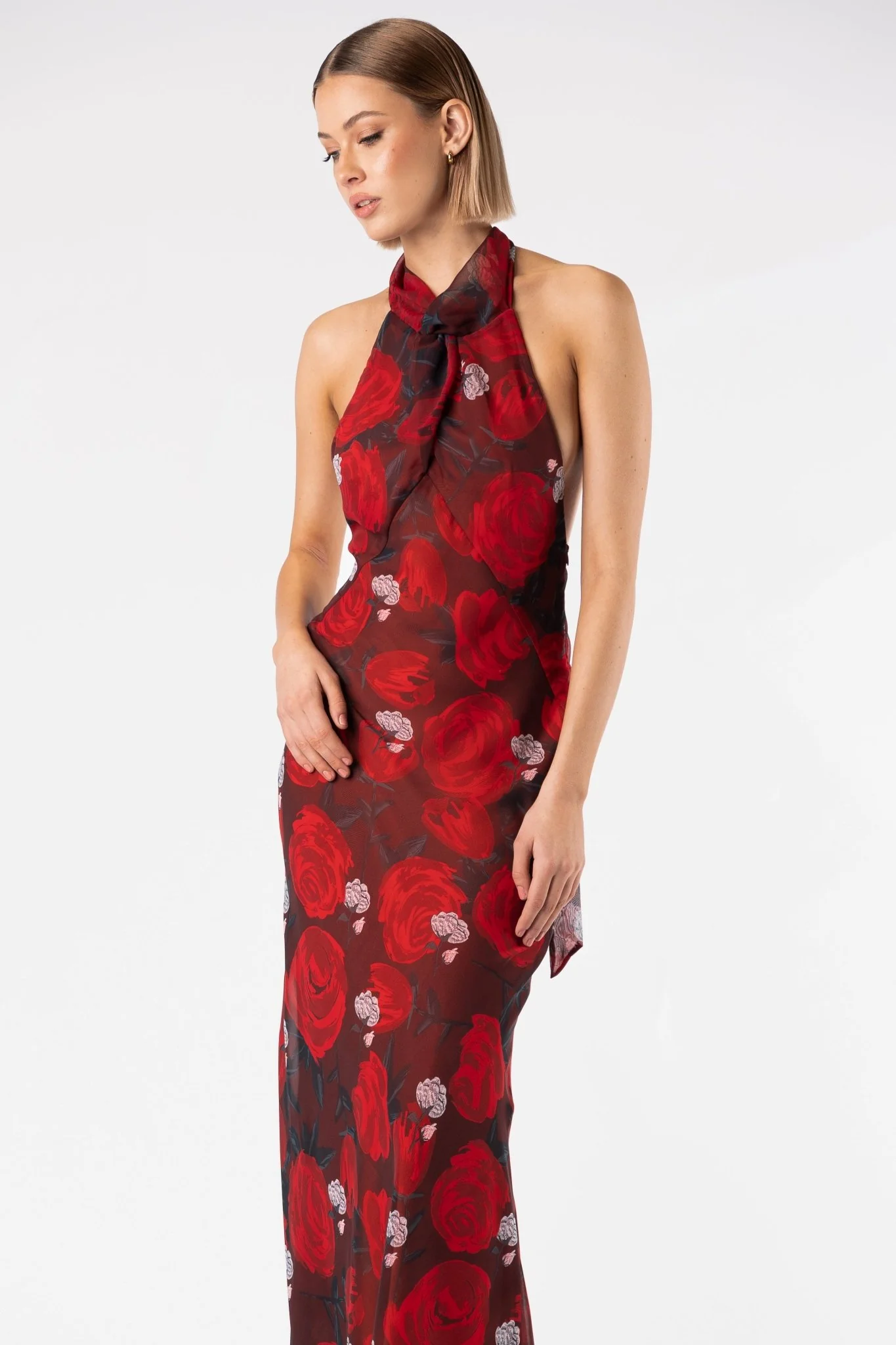 CONSTELLATION DRESS - BRIAR ROSE - Image 11