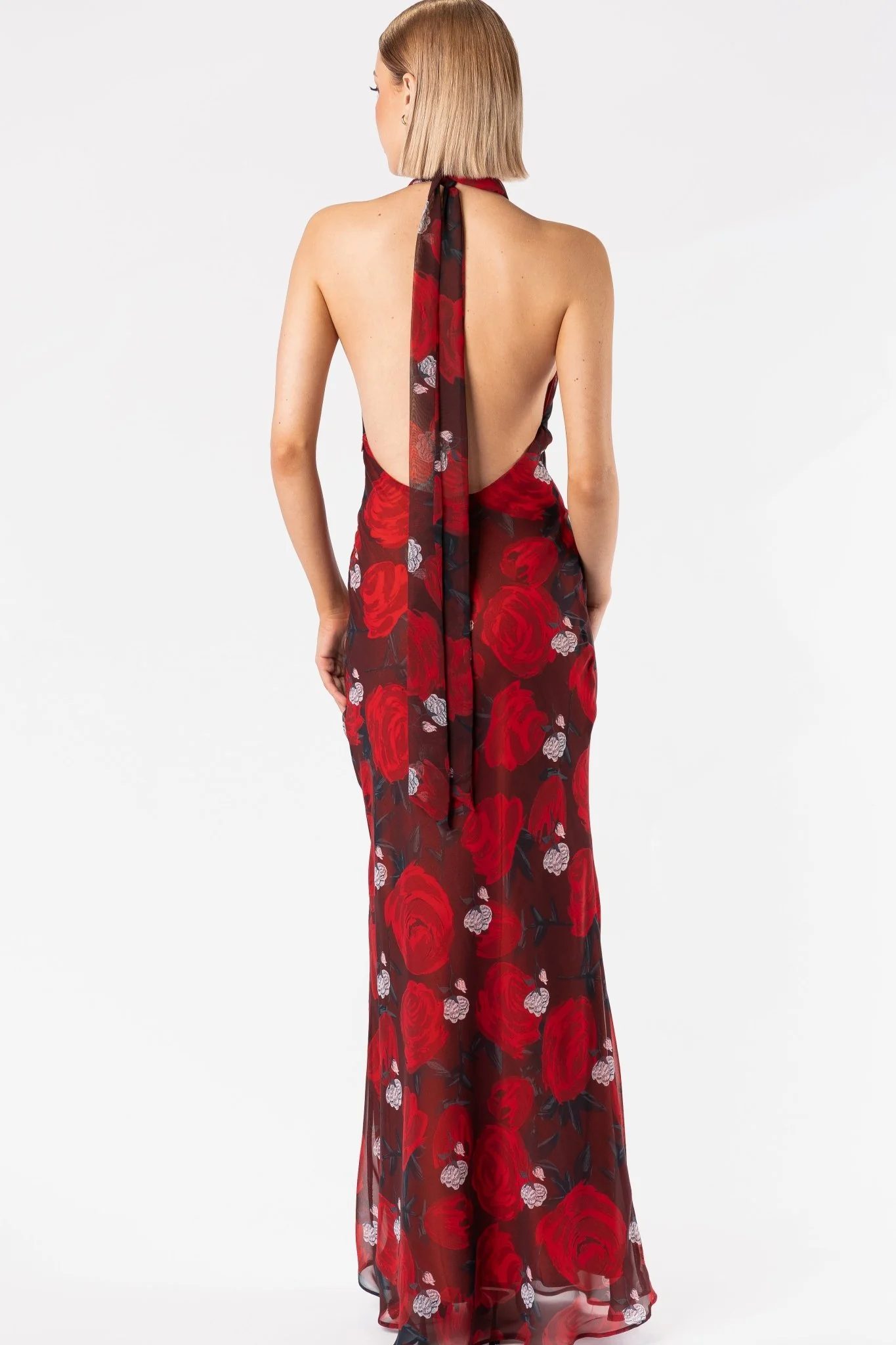 CONSTELLATION DRESS - BRIAR ROSE - Image 12