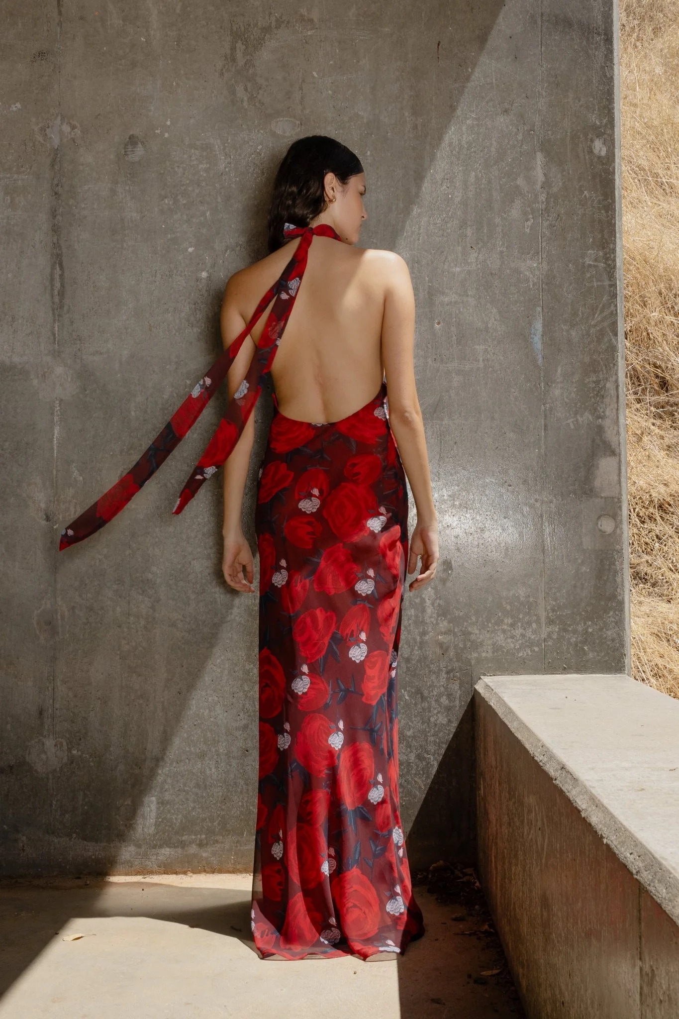 CONSTELLATION DRESS - BRIAR ROSE - Image 4