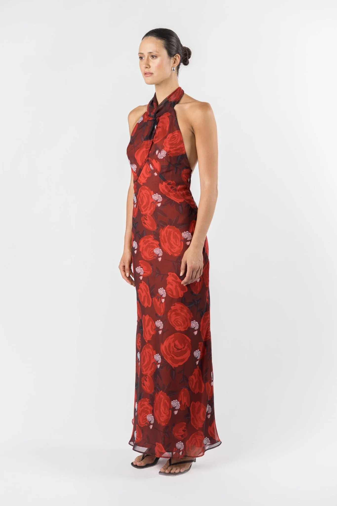 CONSTELLATION DRESS - BRIAR ROSE - Image 5