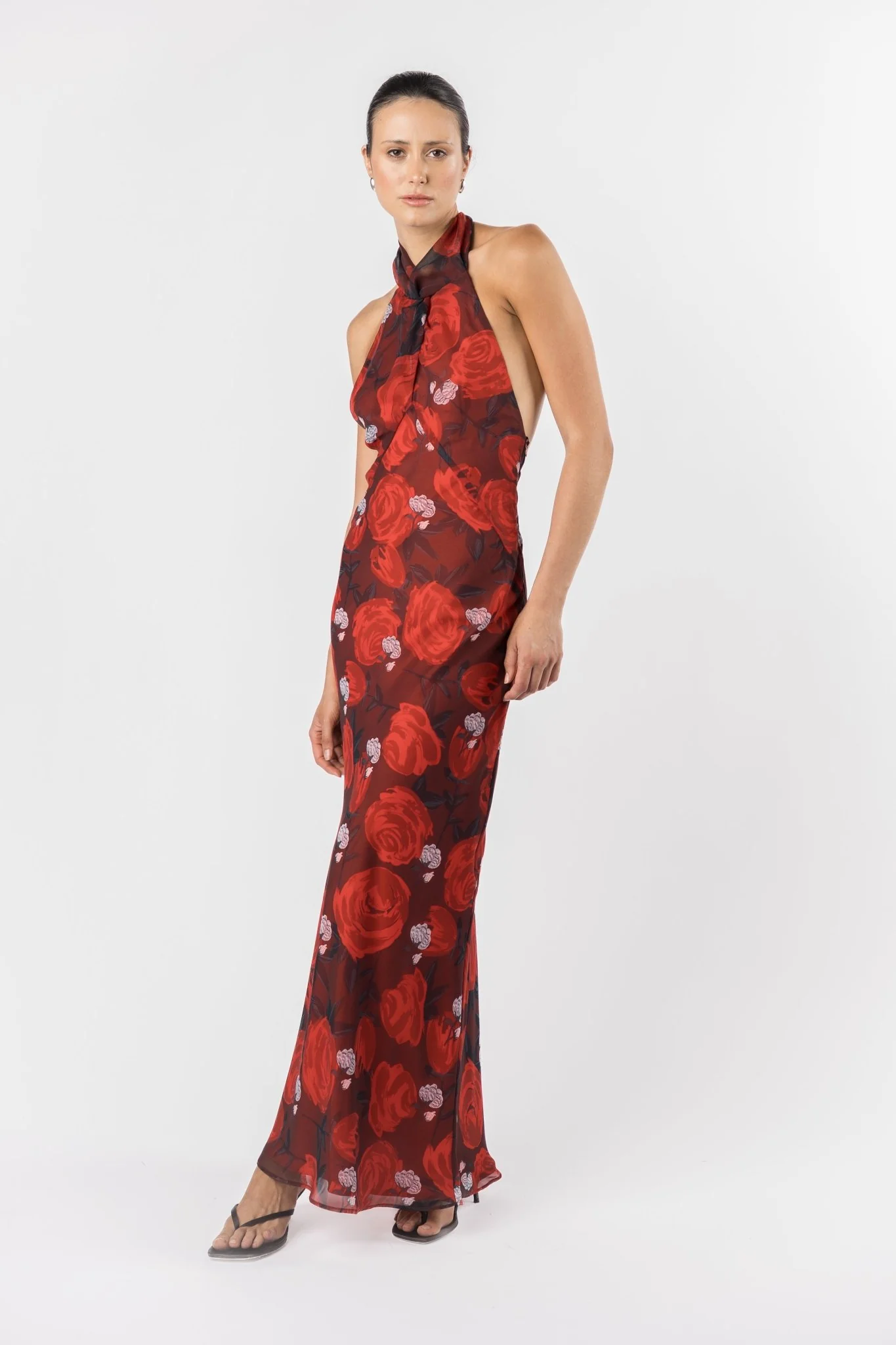 CONSTELLATION DRESS - BRIAR ROSE - Image 6