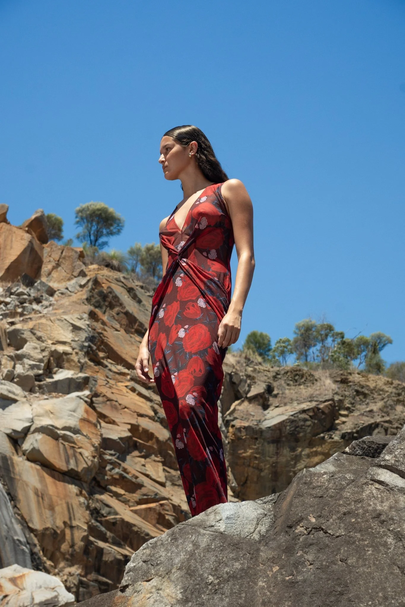 PHOENIX STRETCH - BRIAR ROSE - Image 6